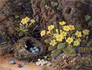 Stillleben mit Vogelnest, Primeln und Veilchen von William Hough