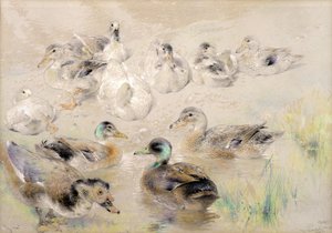 Studie von Enten von William Huggins