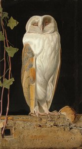 Die weiße Eule: "Allein und seine fünf Sinne wärmend, sitzt die weiße Eule im Glockenturm", 1856 von William J. Webbe