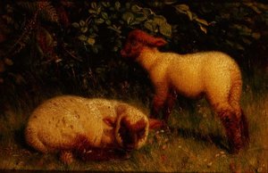 Lämmer