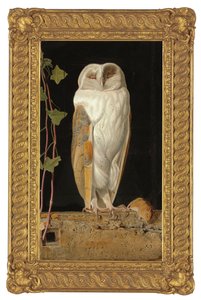 Die weiße Eule, 1856 von William J. Webbe or Webb