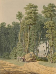 Sommer--Ein Verkehrsunfall. Ein Blick durch eine Öffnung des Urwaldes... 1841 von William James Bennett