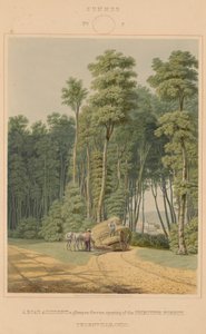 Sommer - Ein Verkehrsunfall. Ein Blick durch eine Öffnung des Urwaldes. Thornville, Ohio von William James Bennett after George Harvey