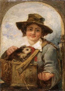 Italienischer Junge mit einem Meerschweinchen, 1836 von William James Muller