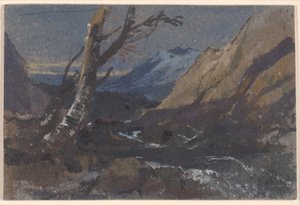Studie von Bäumen an einem Gebirgsbach von William James Muller