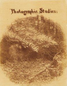 Ohne Titel, aus dem Portfolio Der Wald: Adirondack-Wälder von William James Stillman