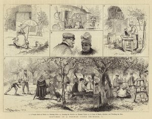 Skizzen in einem normannischen Apfelwein-Orchard, I