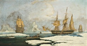 Die Nordwalfischerei: Das Schiff Harmony of Hull und andere im Eis gefangene Walfänger, die Robben, Narwale und Wale auf dem Davis-Straßen-Walfanggebiet vor Grönland jagen von William John Huggins