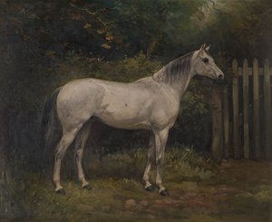Pickles: ein Basuto-Pony, c.1904 von William Josiah Redworth