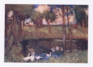 Die lärmenden Gänse, die über den Teich schnatterten