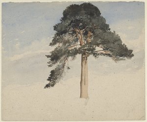 Schottische Kiefer von William Leighton Leitch