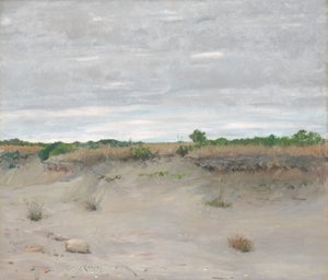 Vom Wind verwehte Sanddünen