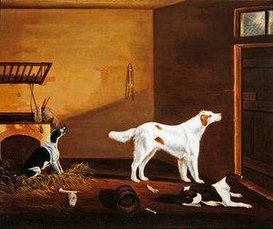Drei Hunde in einem Stall von William Nedham