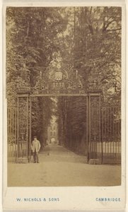 Trinity Cole Avenue von William Nichols and Sons