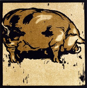 Das gelehrte Schwein, aus 