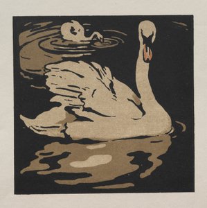 Das quadratische Buch der Tiere: Der schöne Schwan von William Nicholson