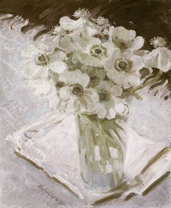 Weiße Anemonen