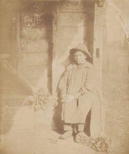 Junge schält Rübe von William P Sherlock