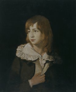 Porträt eines Jungen, John Parry of Garden, ca. 1788-89 von William Parry