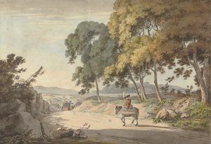 Ansicht von Plymouth von den Seven Trees, Exeter Road