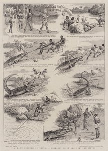 Ein Tag Krokodilfischen, die erste und einzige Erfahrung eines Shikari von William Ralston