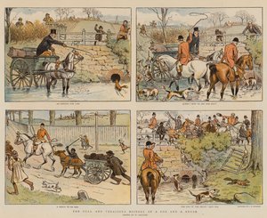 Die vollständige und wahrheitsgetreue Geschichte eines Fuchses und eines Pinsels