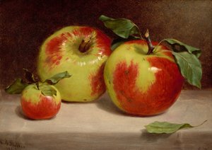 Studie von Äpfeln aus der Natur