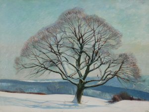 Baum im Winter