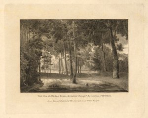 Die Landkreise der Vereinigten Staaten von Nordamerika, Satz von 20 Platten, Einführungstext und 2 Deckblätter von William Russell Birch