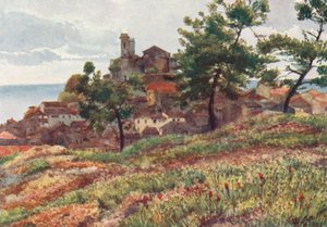 Die Altstadt, Cannes