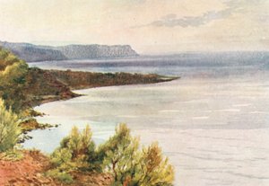 Blick von Santa Croce in Richtung Albenga, früher Morgen von William Scott