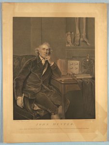 Porträt von John Hunter