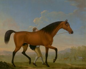 Der Bay-Hengst des Herzogs von Ancaster, Blank, geht auf eine Stute zu von William Shaw