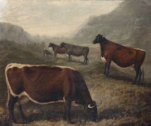 Fünf Glamorgan-Rinder von William Shiels