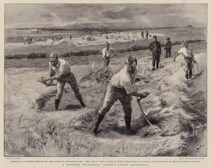 Ein begehrtes Privileg, Sträflingsgruppen beim Heumachen von William Small