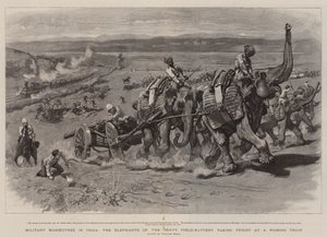 Militärmanöver in Indien, die Elefanten der schweren Feldbatterie erschrecken vor einem vorbeifahrenden Zug