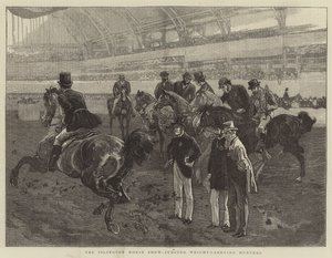 Die Islington-Pferdeschau, Bewertung der Gewichtsträger-Jäger