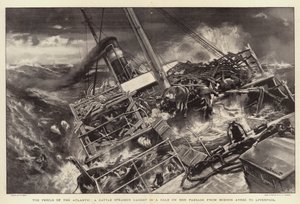 Die Gefahren des Atlantiks, ein Viehdampfer in einem Sturm auf ihrer Passage von Buenos Aires nach Liverpool