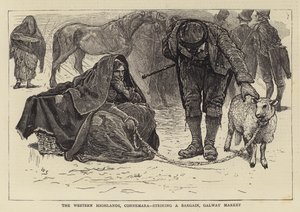 Die westlichen Highlands, Connemara, ein Handel wird abgeschlossen, Galway-Markt