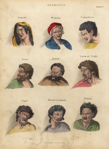 Leidenschaften aus der Physiognomie