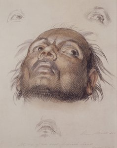 Studie eines Kopfes eines Ostinders, ca. 1875 (Kreide und Waschung auf Papier) von William Strutt