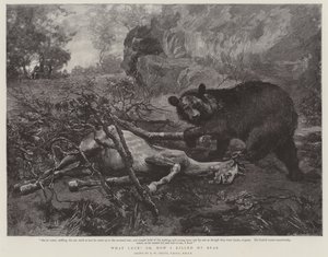 Was für ein Glück! oder, Wie ich meinen Bären tötete von William Strutt