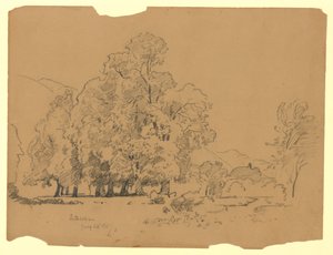 Landschaft, Interlaken, Schweiz