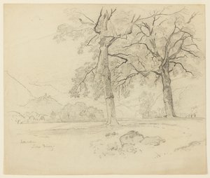 Landschaft, Brienzersee, Interlaken, Schweiz