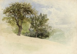 Landschaft mit Bäumen auf einem Hügel, 1880-85