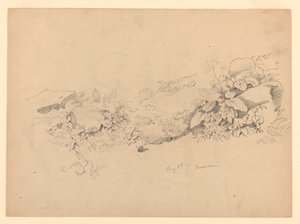 Studie von Laub, Trachselwald, Bern, Schweiz von William Trost Richards