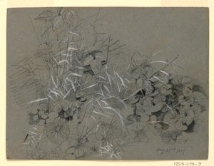 Studie von Veilchenblättern und Gras von William Trost Richards