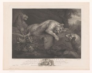 Drei spielende Löwen von William Walker