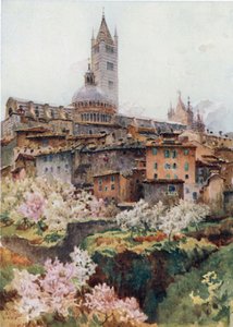 Siena. Die Kathedrale von William Wiehe Collins
