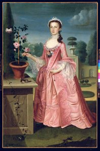 Porträt von Deborah Hall